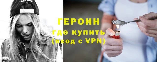 гидра Богородск