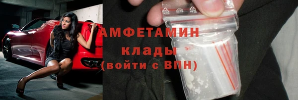 гидра Богородск