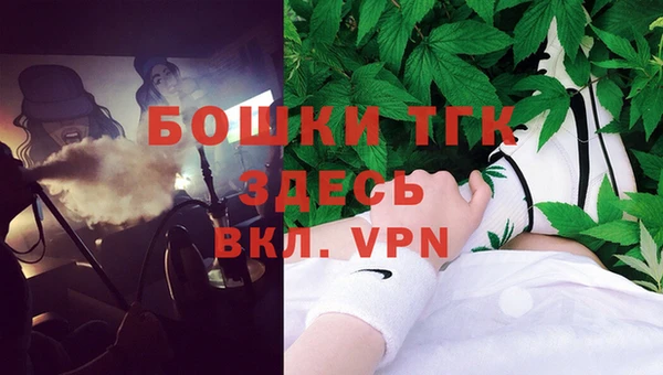 гидра Богородск