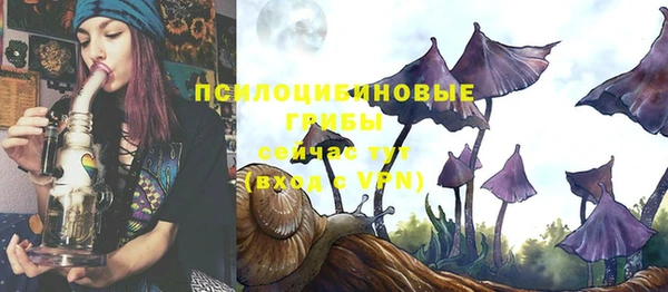 эйфоретик Беломорск