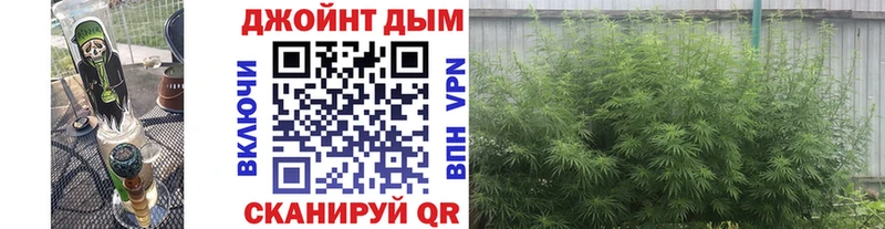 Конопля MAZAR Вязьма